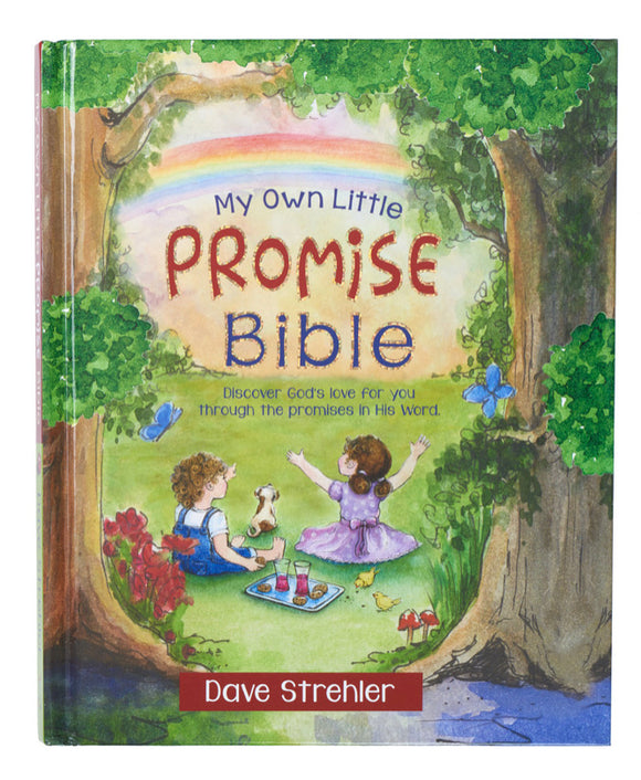 My Own Little Promise Bible